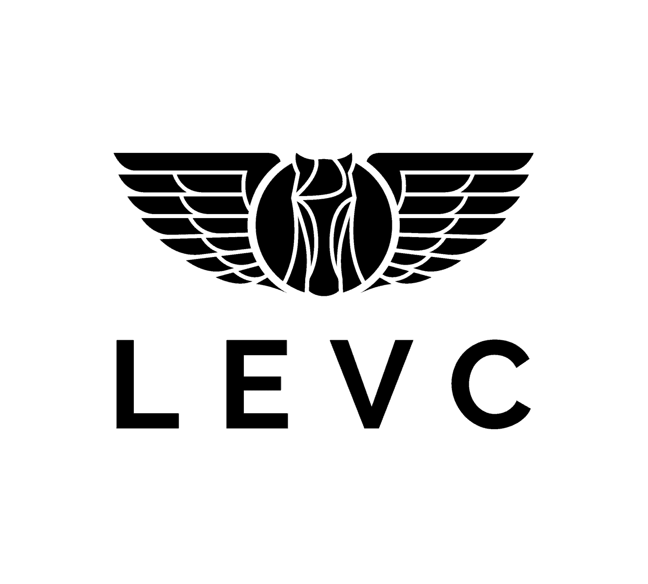 LEVC_Temp_Portrait_frame_RGB-01-002